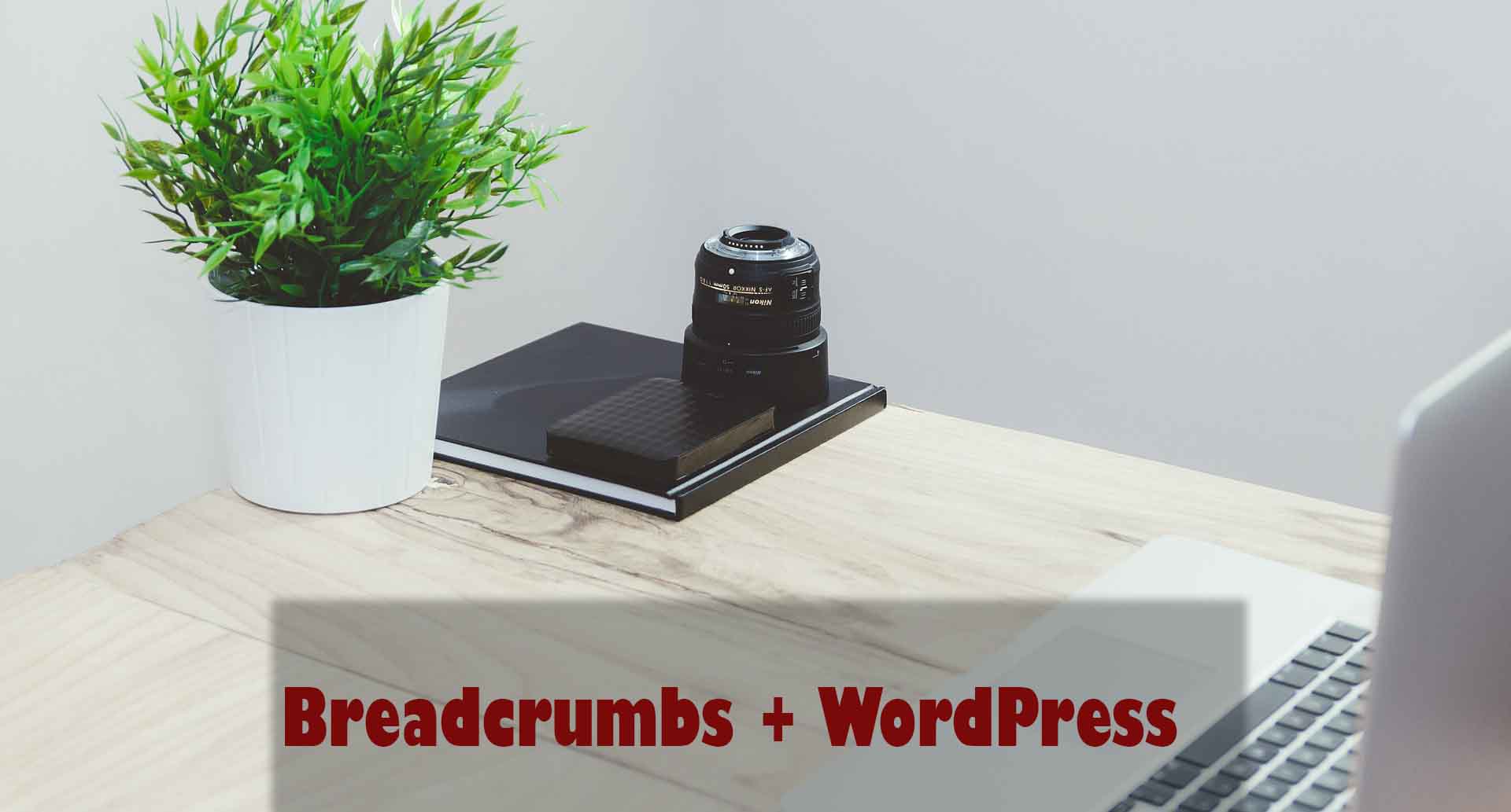 Enabling beadcrumbs in WordPress