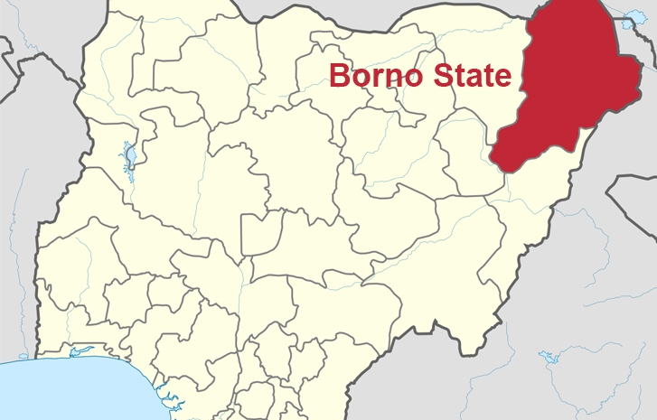 Borno State postal code