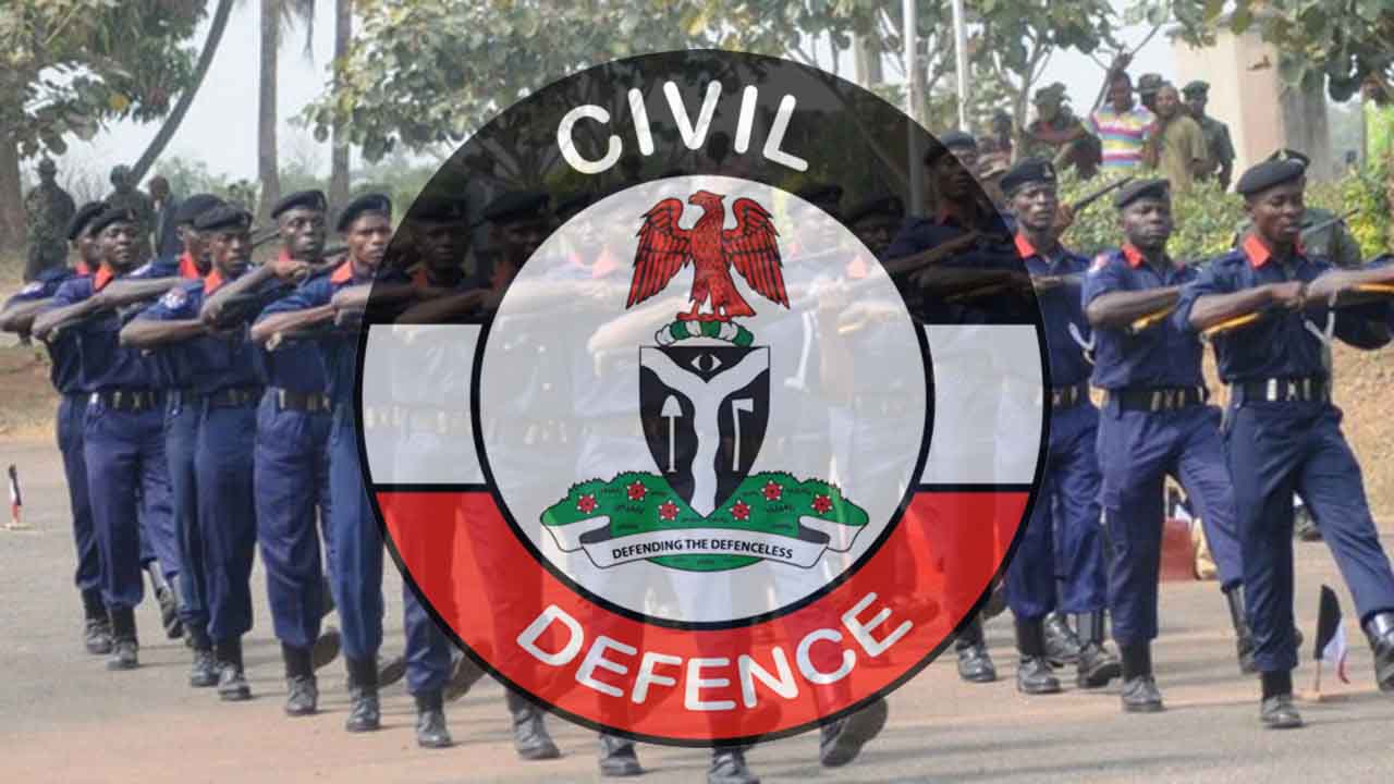 Nigeria Civil Defence troops and logo